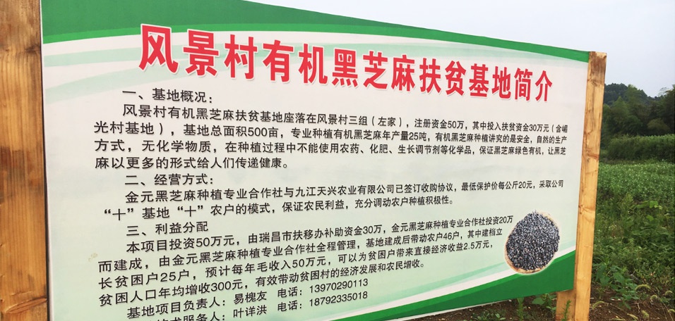 1643175684951604.jpg 4.jpg